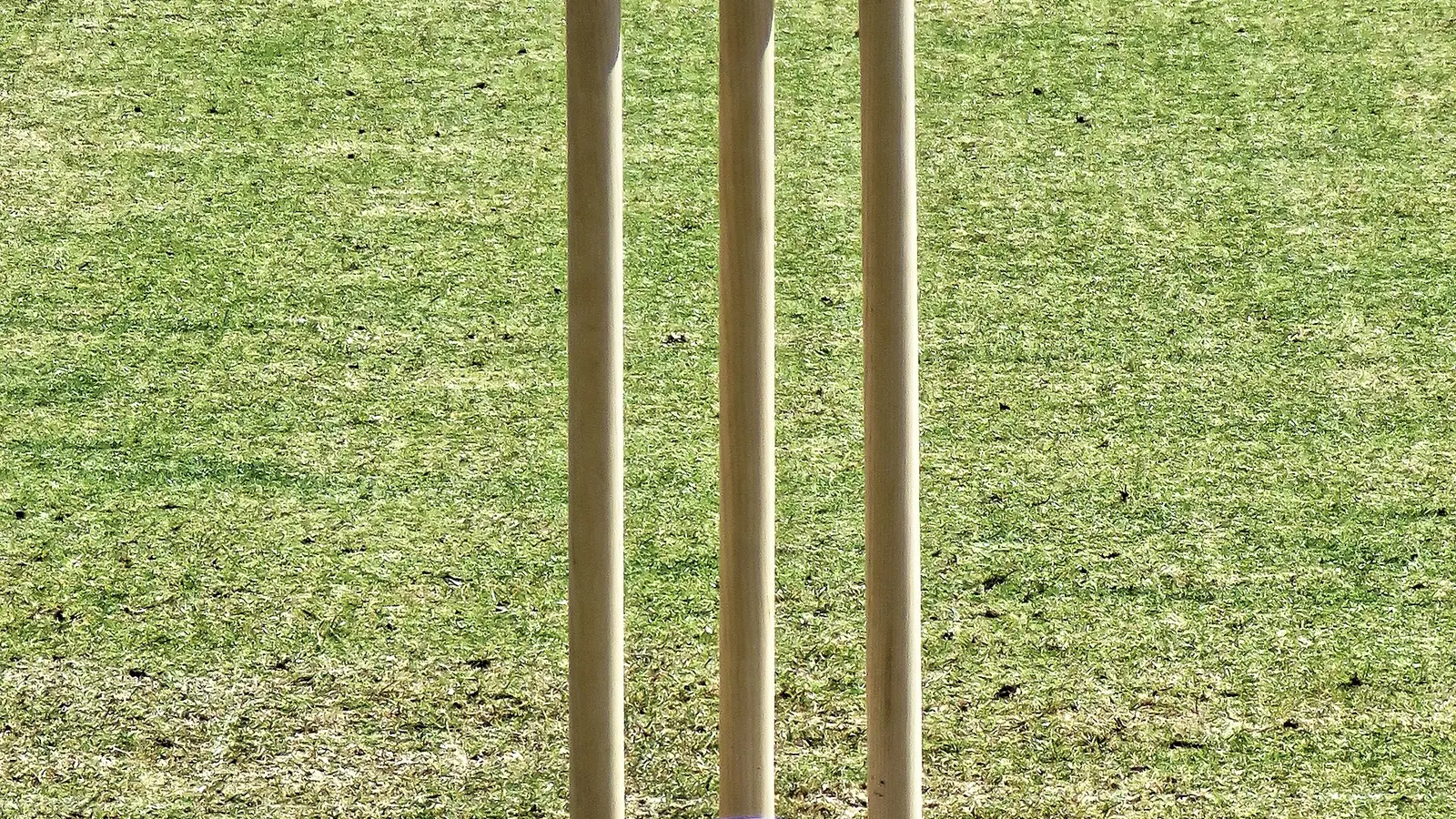 Cricket